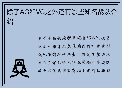 除了AG和VG之外还有哪些知名战队介绍